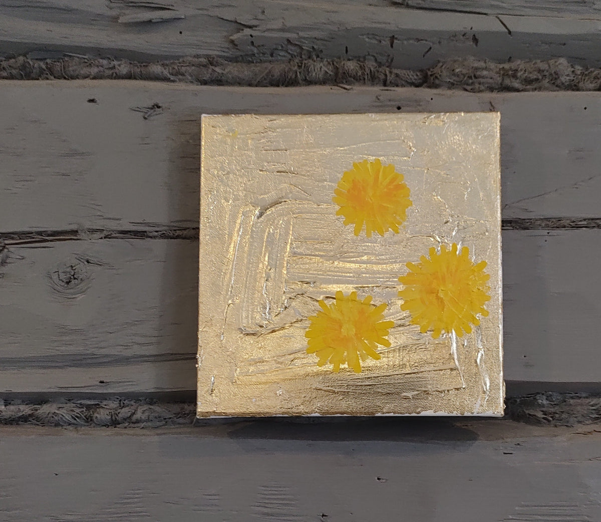 Dandelions 1