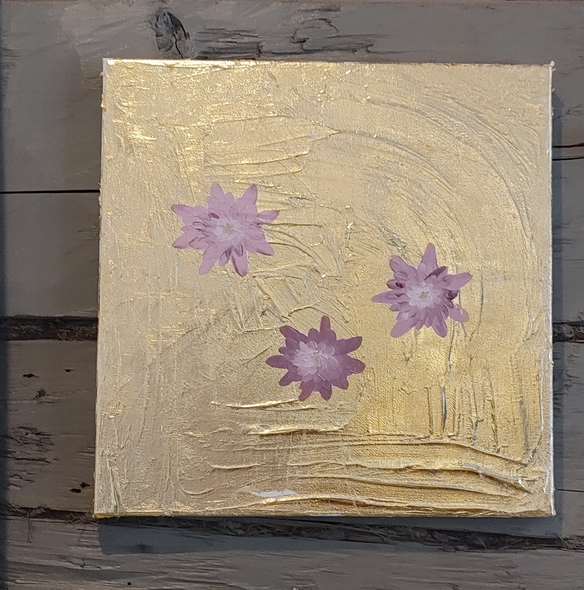 Wild stars